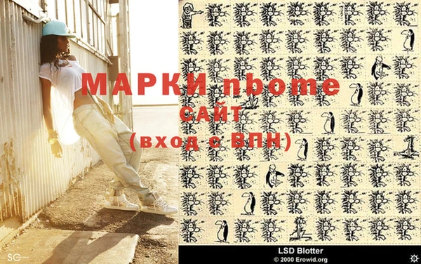 шишки Богородицк